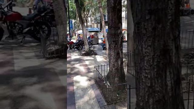 Венесуэла. Venezuela. 委内瑞拉。