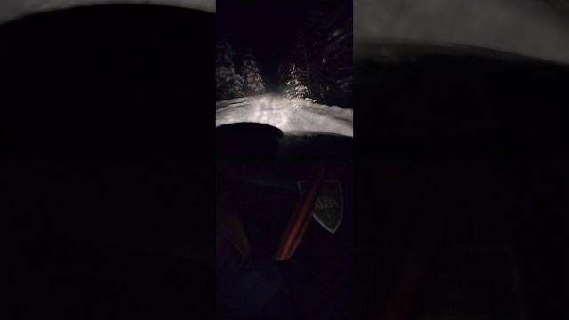 Жизнь в тайге.