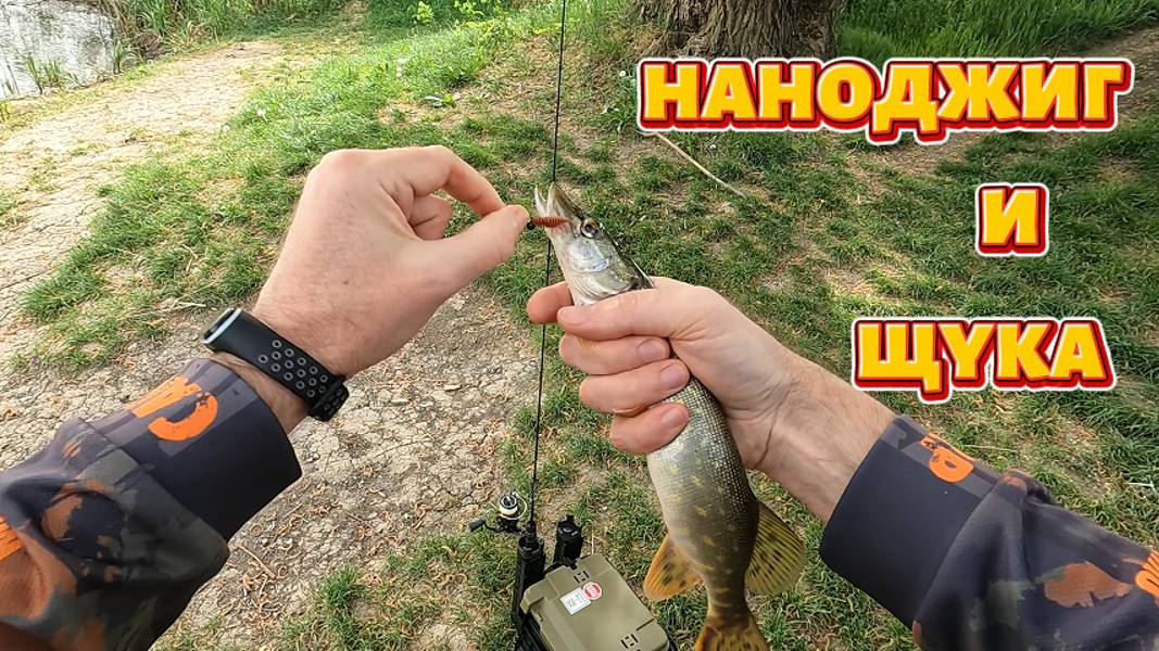 Наноджиг и щука.
