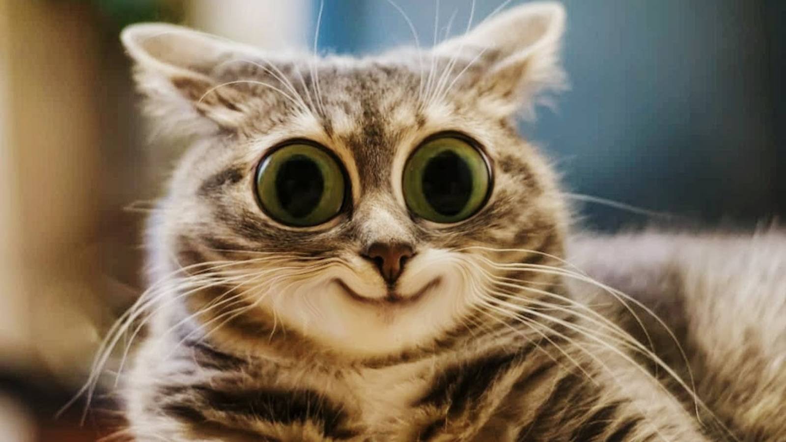 Я_РЖАЛ_ЦЕЛЫЙ_ЧАС_СМЕШНЫЕ_ЖИВОТНЫЕТЕСТ_НА_ПСИХИКУ_ПОПРОБУЙ_НЕ_ЗАСМЕЯТЬСЯ