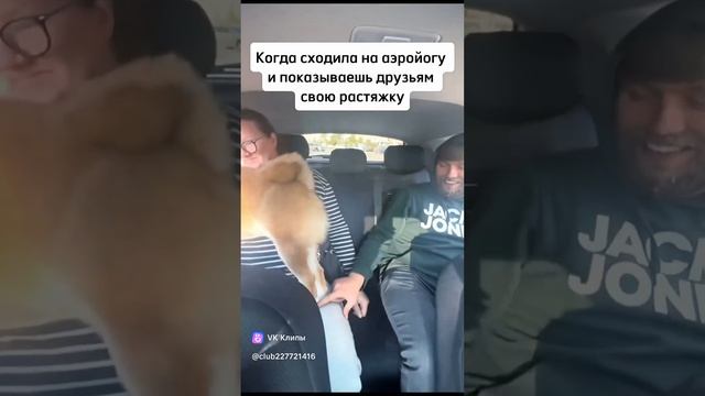 Танцует 🐶