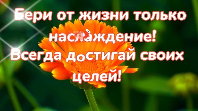 Татьяна Алексеевна, с Днем Рождения,дорогая!