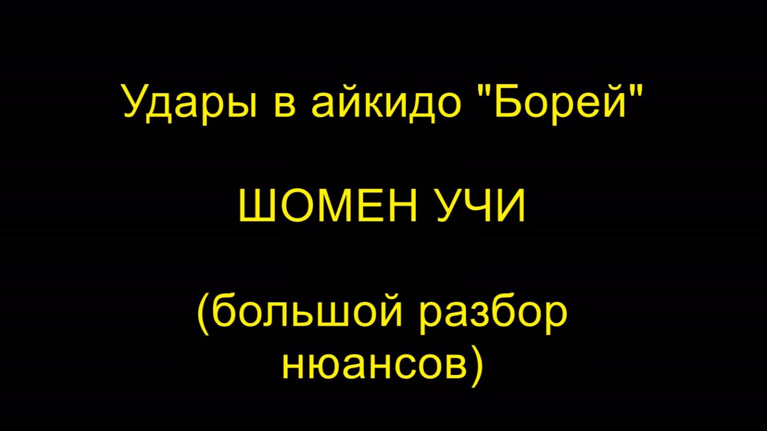 ШОМЕН УЧИ (большой разбор нюансов), удары в айкидо "Борей"