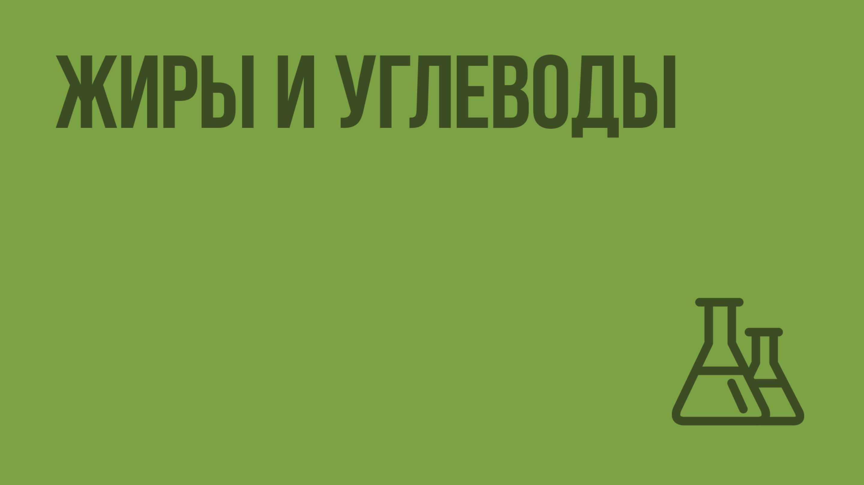 Жиры и углеводы. Видеоурок по химии 9 класс