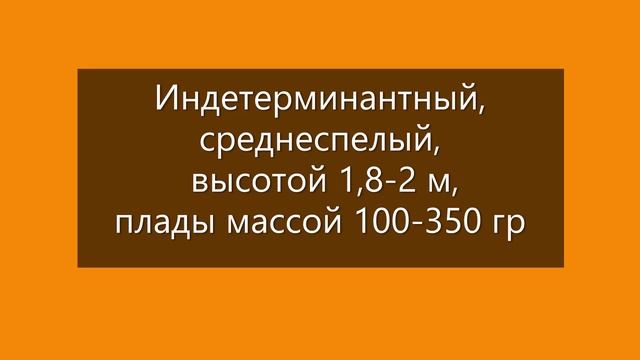 Томаты, подходящие для консервации