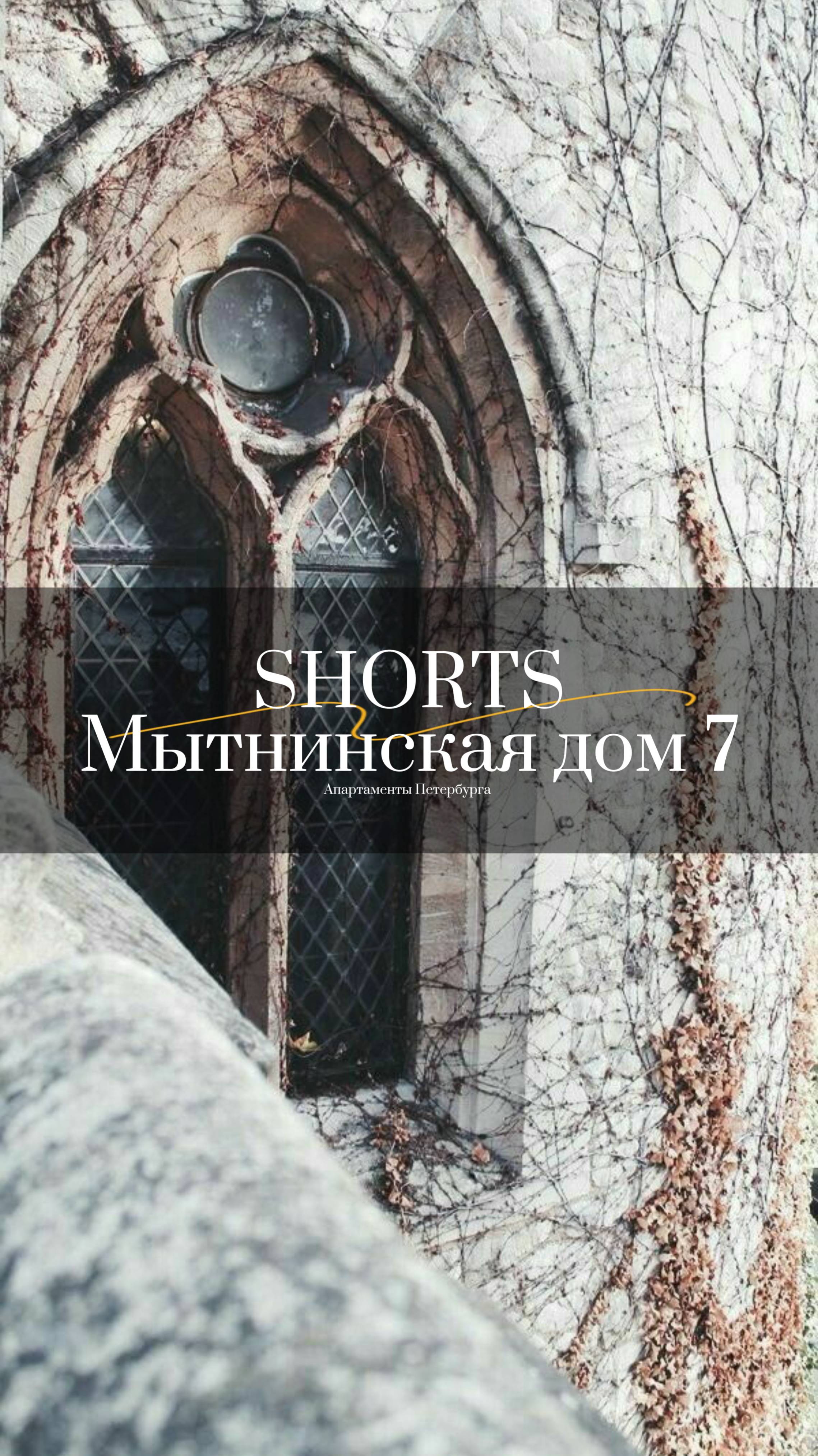 МЫТНИНСКАЯ УЛ., Д. 7, Санкт-Петербург Shorts