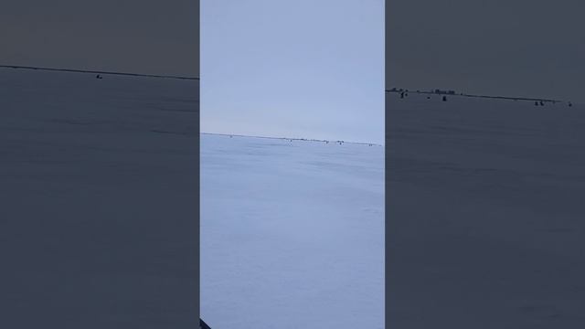 Рыбалка на Каме❤🇷🇺Удмуртии. обзор палатки