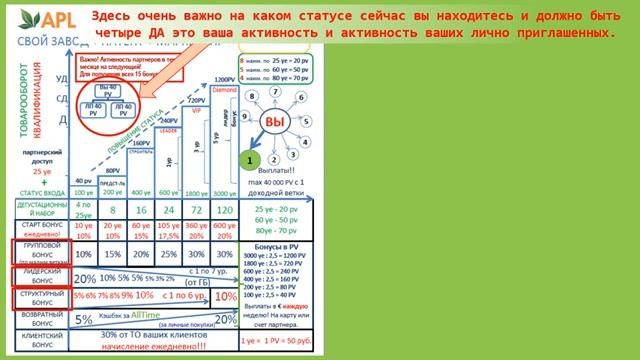 ЕЛЕНА ДРУГАКОВА Маркетинг план компании APL по методичке Нины Цариковач