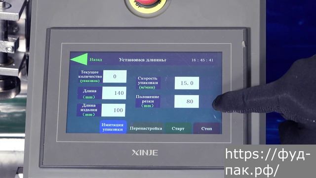 Сервоприводный горизонтальный упаковочный автомат MAGIKON-350AGXS DAN