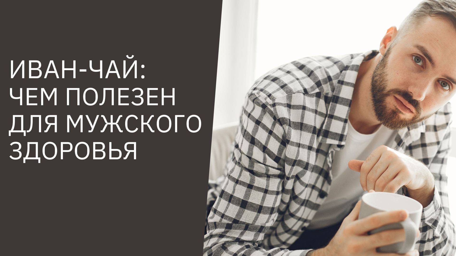 ИВАН-ЧАЙ: ЧЕМ ПОЛЕЗЕН ДЛЯ МУЖСКОГО ЗДОРОВЬЯ