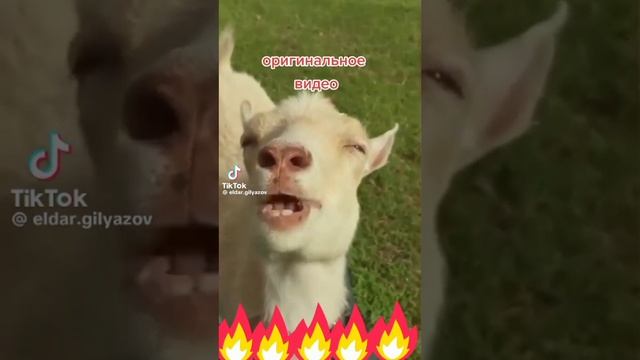 Пародия