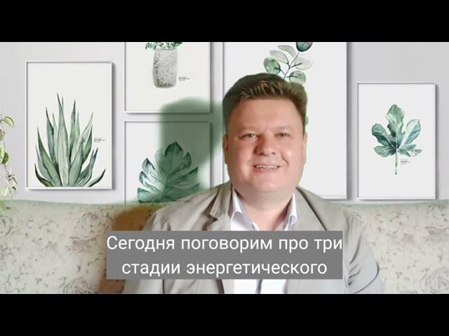 Три стадии энергетического потенциала человека. Онлайн Академия с Дмитрием Литосовым
