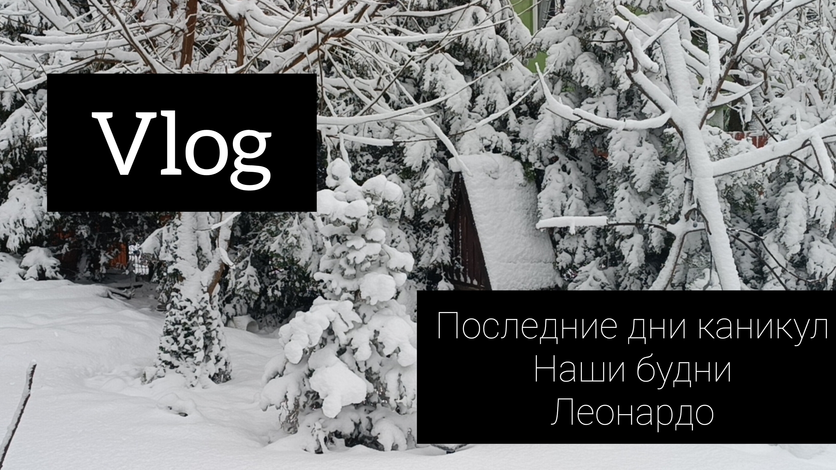 влог// последние дни каникул