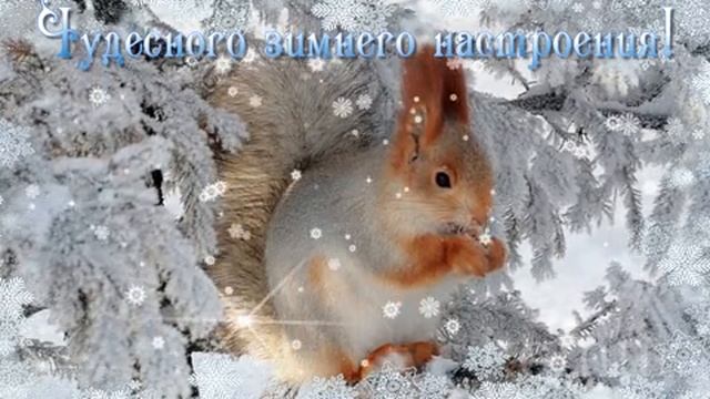 Всем Доброго зимнего дня ❄️❄️❄️❄️💞💞💞