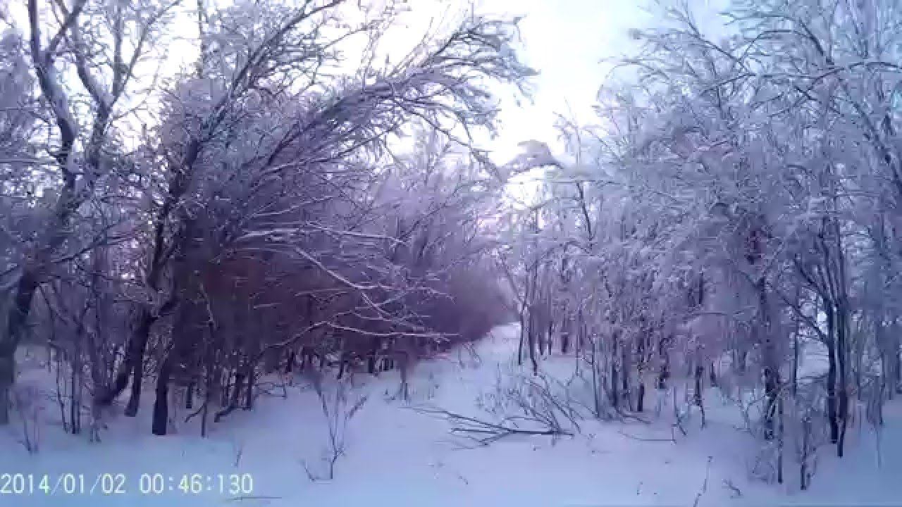 Охота на зайца тропление №5