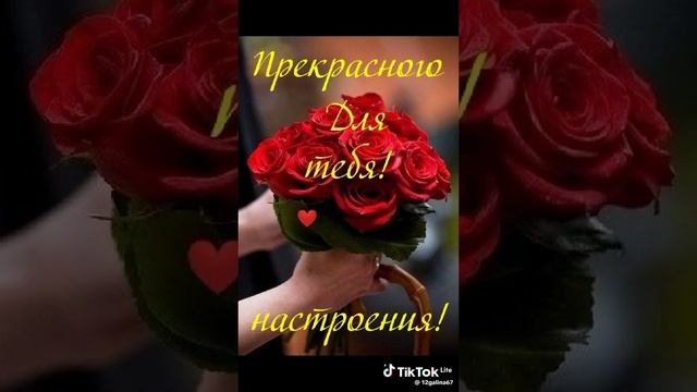 b87be912249e62bd2d92c5cf0348fcfd_1737006781925