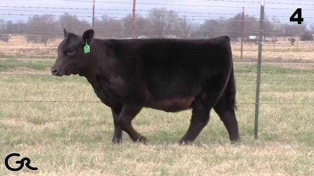 Lot 4 G 1218