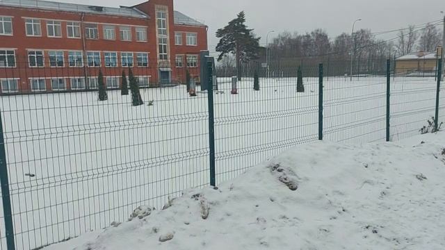 прогулка Струнино