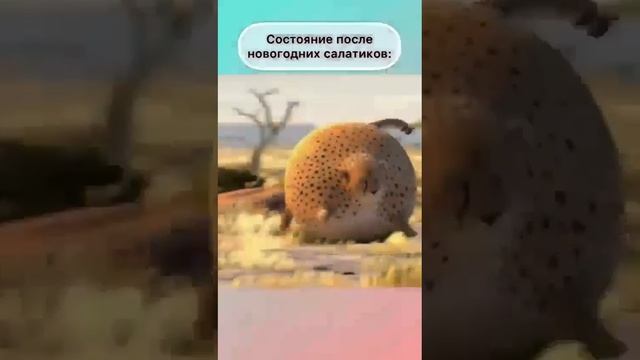 Состояние после новогодних салатиков