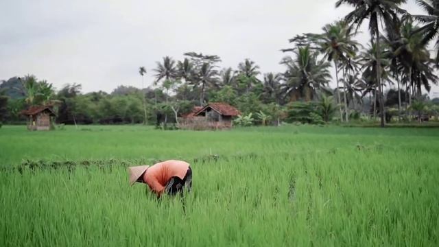 Feiyu Scorp C + a6000 + sigma 30mm f 1.4 DC DN Cinematic