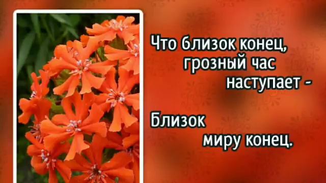 277 Не знает никто (-)