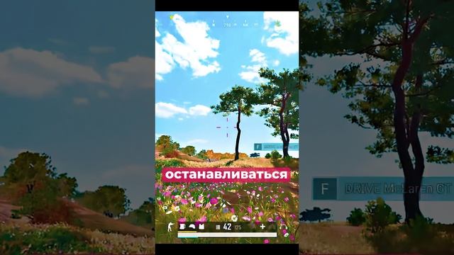 Моя остановочка