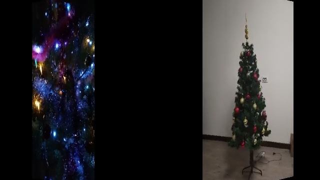 1000024904.mp4