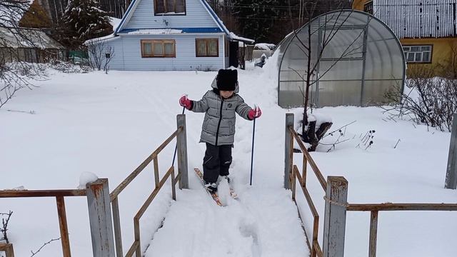 На даче зимой_11.01.25