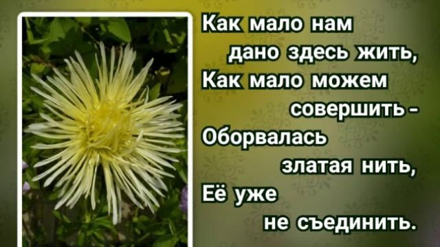 328 Нежданно ты ушёл от нас (-)