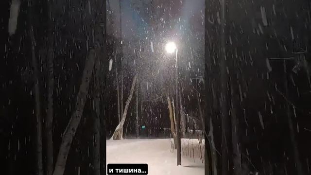 14 января 2025 г.