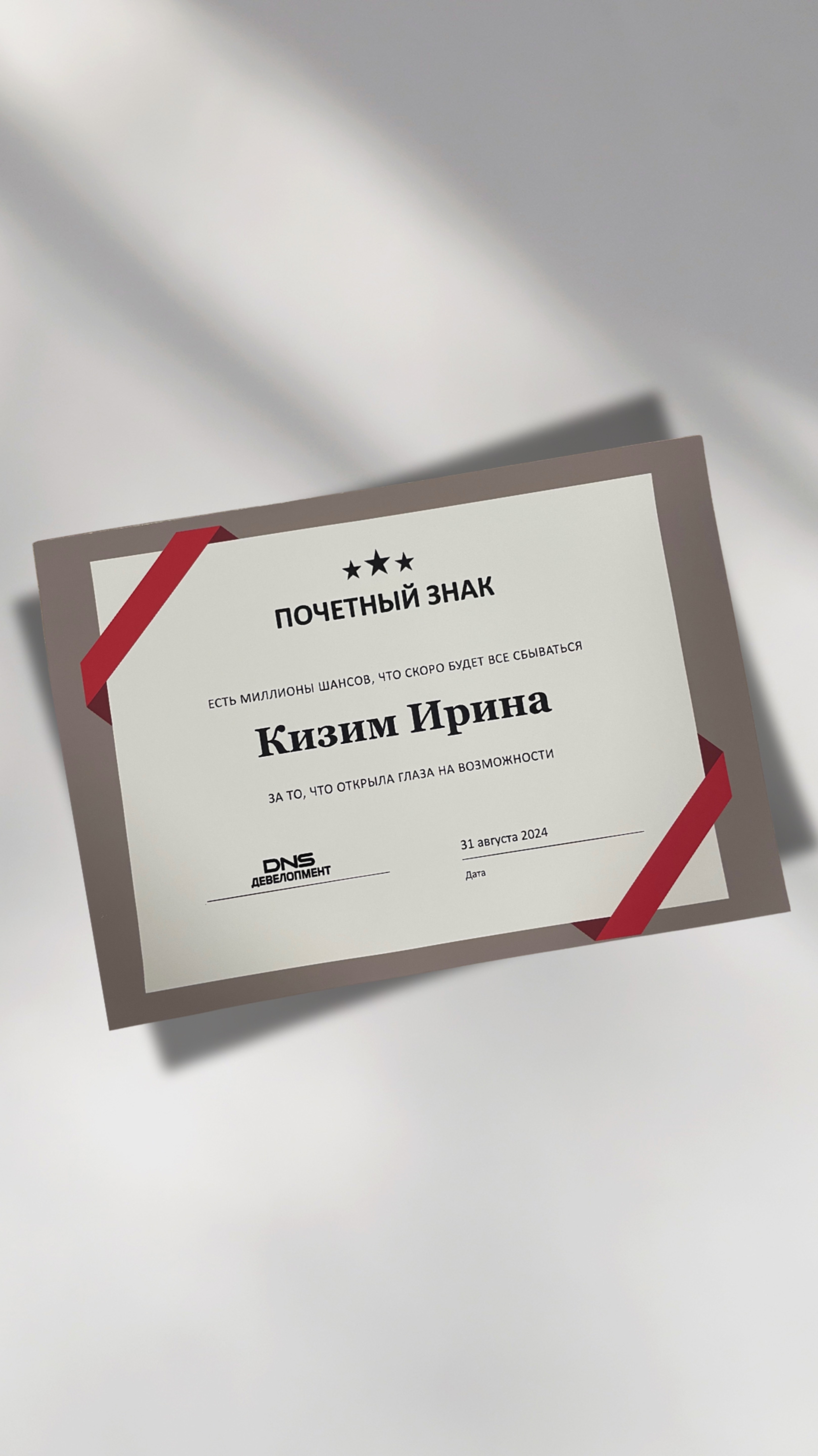 ПРОЕКТ С DNS ДЕВЕЛОПМЕНТ В РЕЖИМЕ «КОММЕРЧЕСКИЙ ДИРЕКТОР НА АУТСОРСИНГЕ».