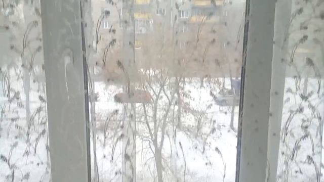 О тайной любви ! И домашние дела 
16 января 2025 г