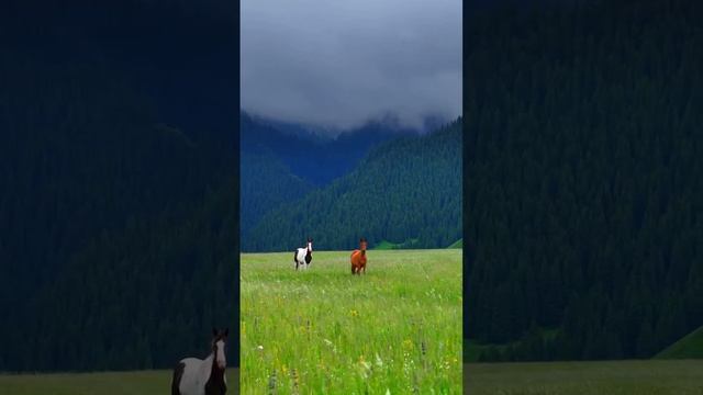 Казахстан.