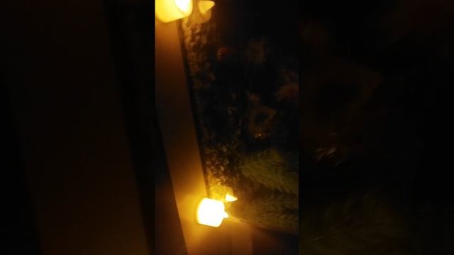 scene_output.mp4