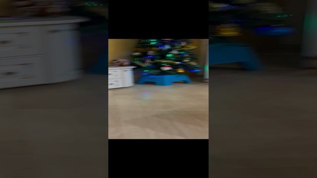 16-01-2025