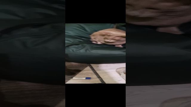 1000045760.mp4