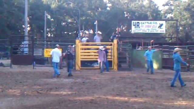 Eli mini bull riding