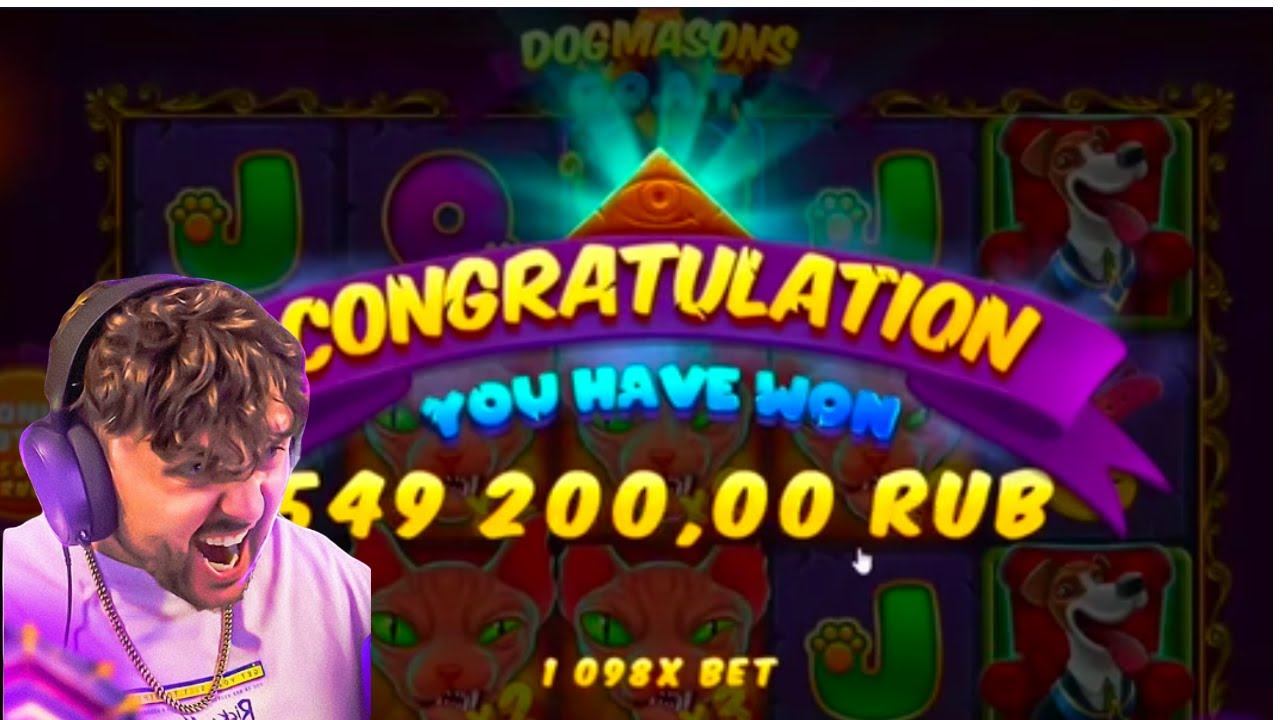 FRG открыл для себя новый DOG HOUSE / DOGMASONS COAT от Popiplay