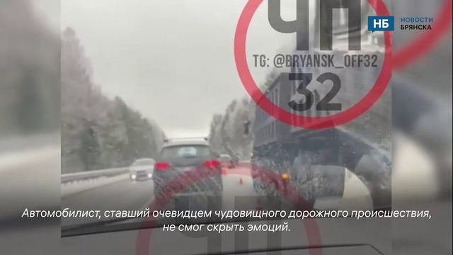 «Это трупы, однозначно трупы» появилось видео жуткого ДТП под Навлей