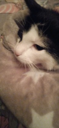 туториал на всë в квадробике