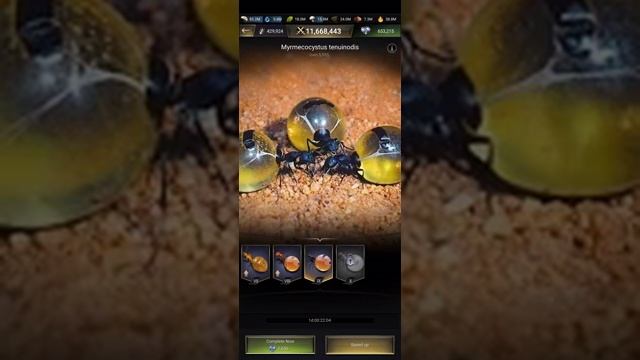 The Ants - Underground Kingdom - Part 31 (Android, iOS) - Carrier Ants IX (240p)