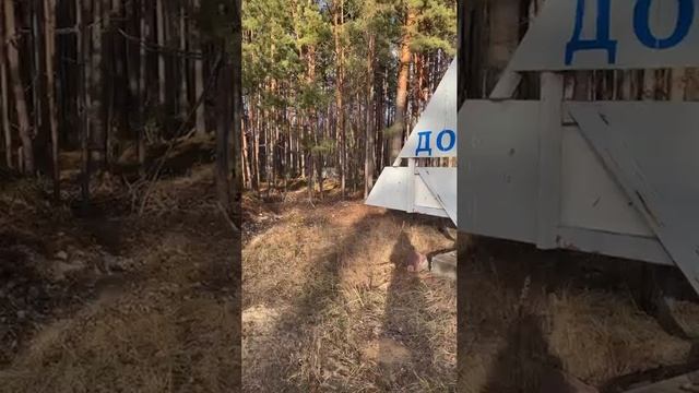 Граница на замке, граждане Украины в плену у правительства