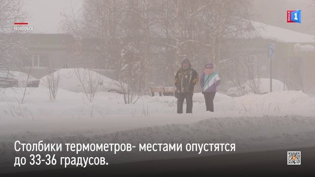 На Ямал обрушатся 36-градусные морозы