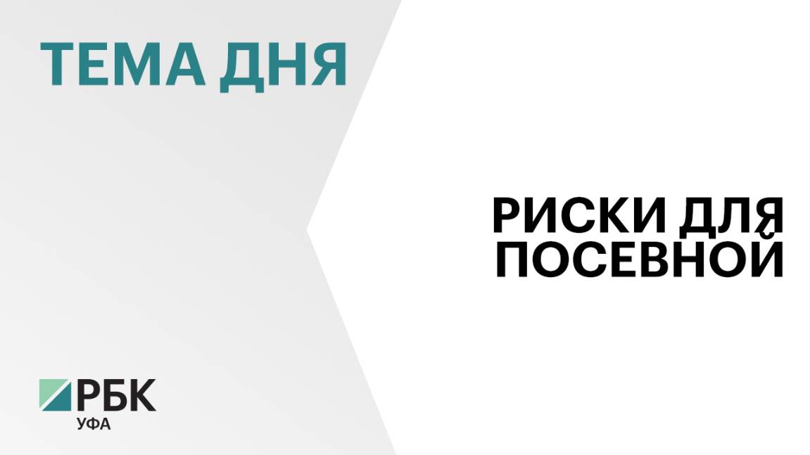 Аграрии Башкортостана планируют оформить льготные кредиты на ₽15-17 млрд на посевную 2025 г.