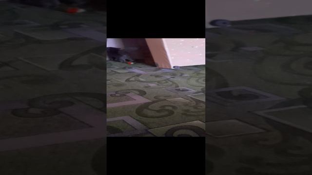 Тима двигается окуратно 😁