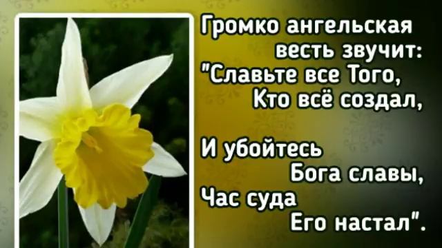 271 Светлый ангел над землёй летит (-)