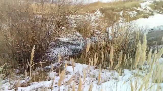 Новогодняя рыбалка 28 декабря 2019 г.