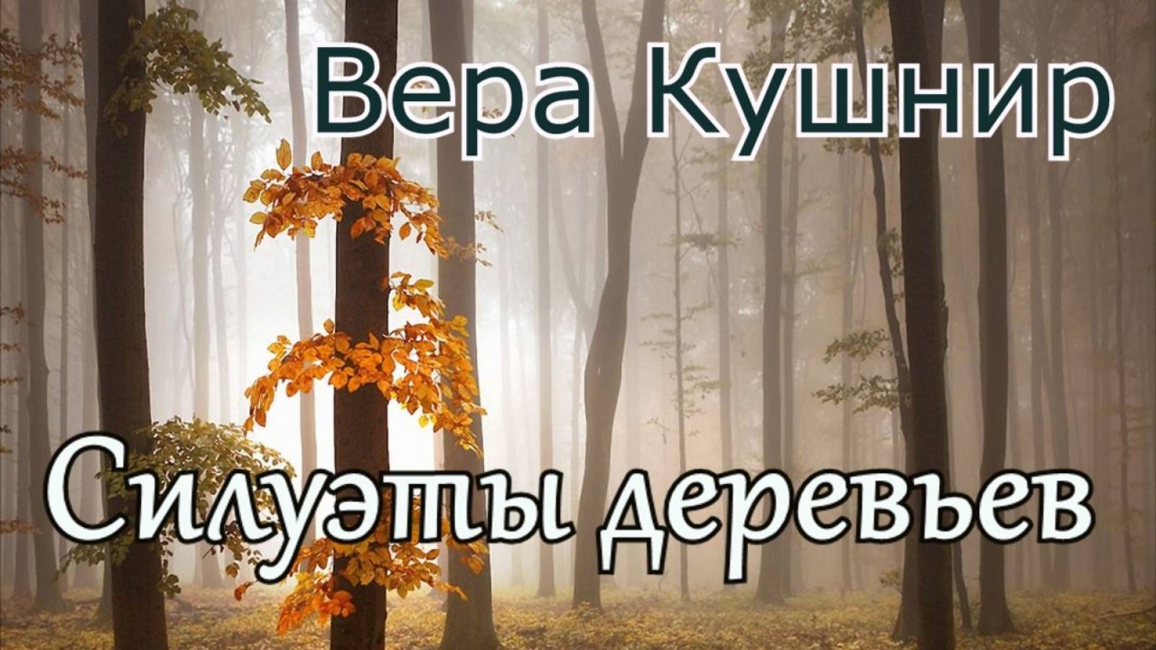 Вера Кушнир. стих - "Силуэты деревьев."