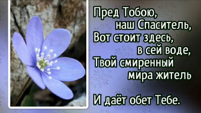 293 У реки, у Иордана (-)