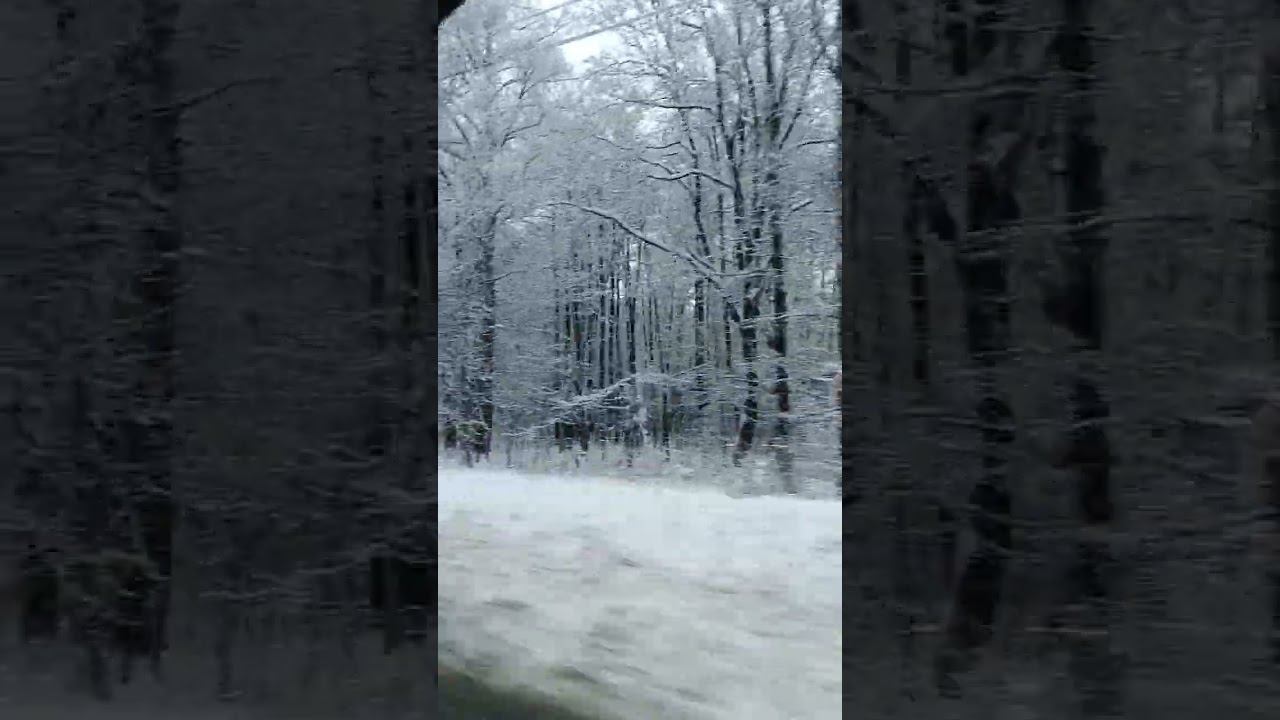 11 января 2025 г.